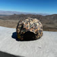 Camo Puff Print Trucker